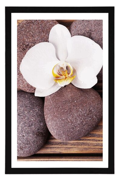 Plakát s paspartou wellness kameny a orchidej na dřevěném pozadí