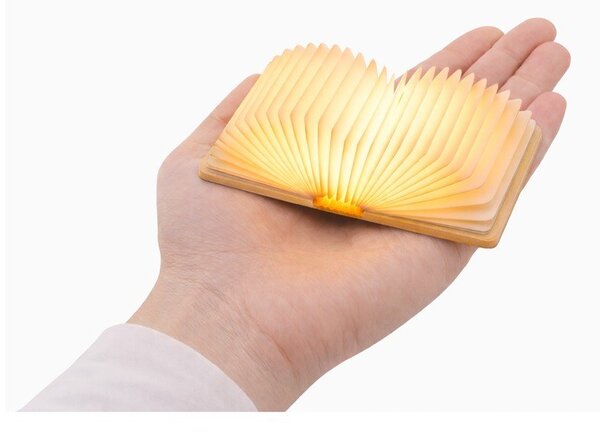 Přenosná světelná dekorace na USB v přírodní barvě BookLight – Gingko