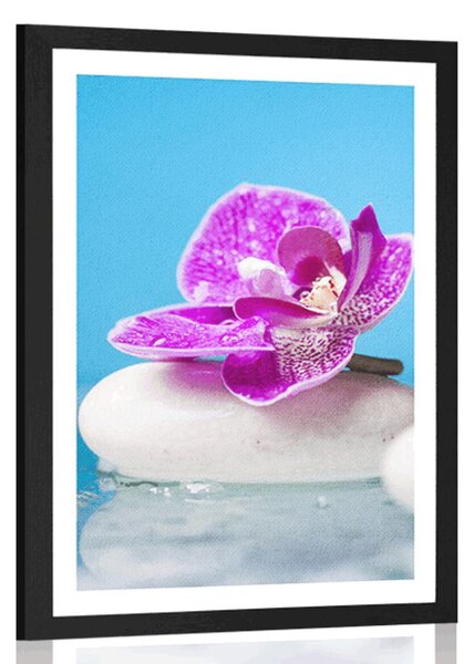 Plakát s paspartou orchidej a Zen kameny