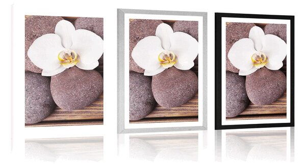 Plakát s paspartou wellness kameny a orchidej na dřevěném pozadí