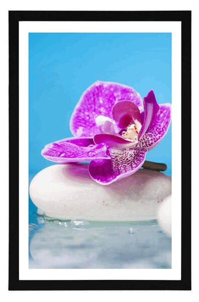 Plakát s paspartou orchidej a Zen kameny