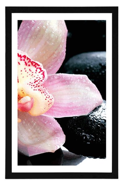 Plakát s paspartou exotická orchidej