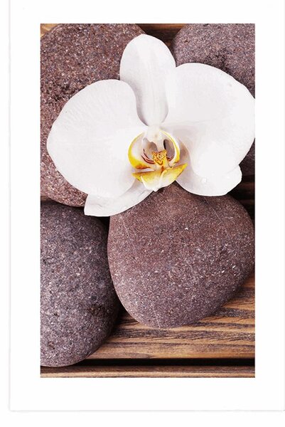 Plakát s paspartou wellness kameny a orchidej na dřevěném pozadí