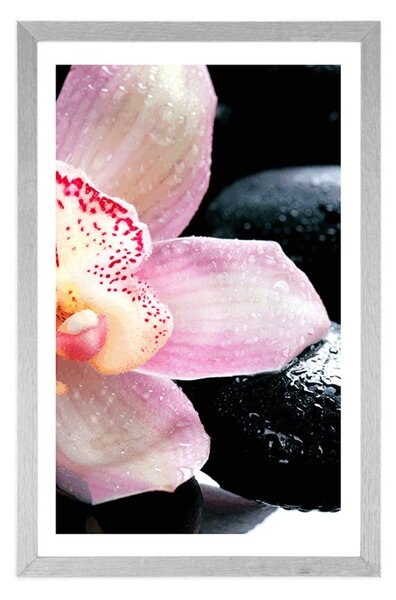 Plakát s paspartou exotická orchidej