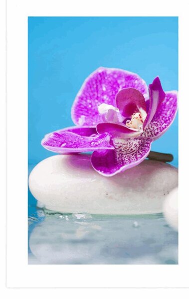 Plakát s paspartou orchidej a Zen kameny