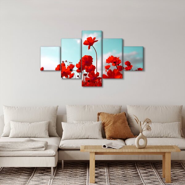 Obraz pole s jasně červenými květy (125x70 cm)