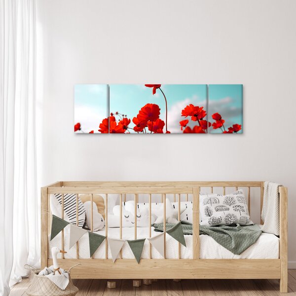 Obraz pole s jasně červenými květy (170x50 cm)