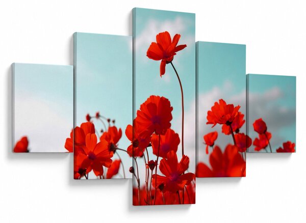 Obraz pole s jasně červenými květy (125x70 cm)