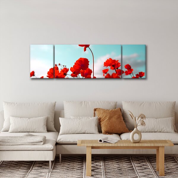 Obraz pole s jasně červenými květy (170x50 cm)