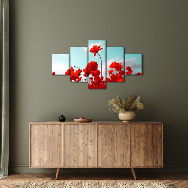 Obraz pole s jasně červenými květy (125x70 cm)