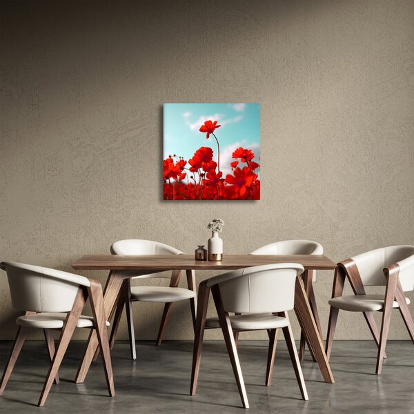 Obraz pole s jasně červenými květy (30x30 cm)