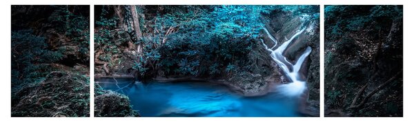 Obraz - Magická noc v tropickém lese (170x50 cm)