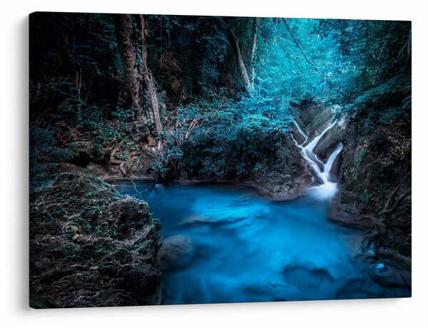 Obraz - Magická noc v tropickém lese (70x50 cm)
