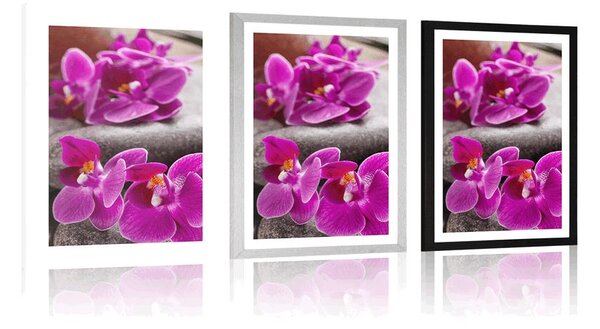 Plakát s paspartou nádherná orchidej a Zen kameny