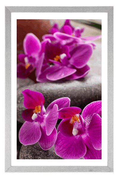 Plakát s paspartou nádherná orchidej a Zen kameny