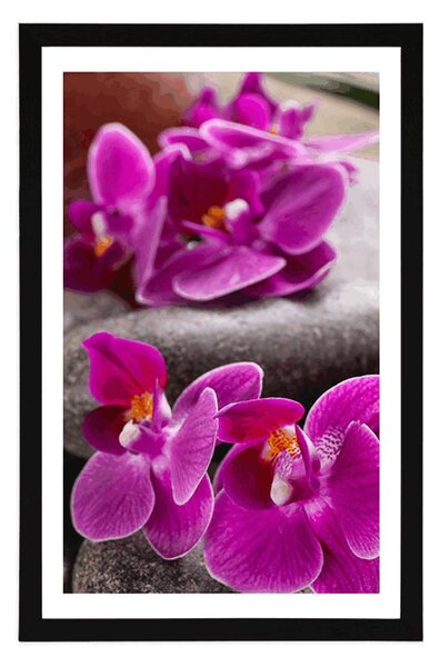 Plakát s paspartou nádherná orchidej a Zen kameny