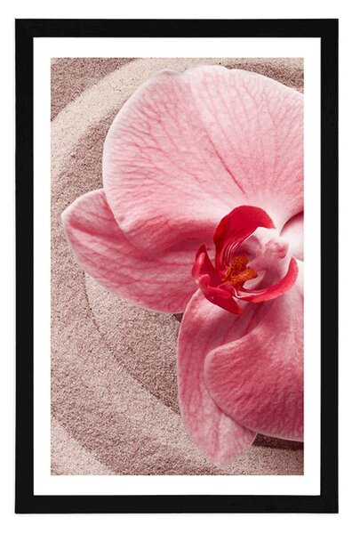 Plakát s paspartou mořský písek a růžová orchidej