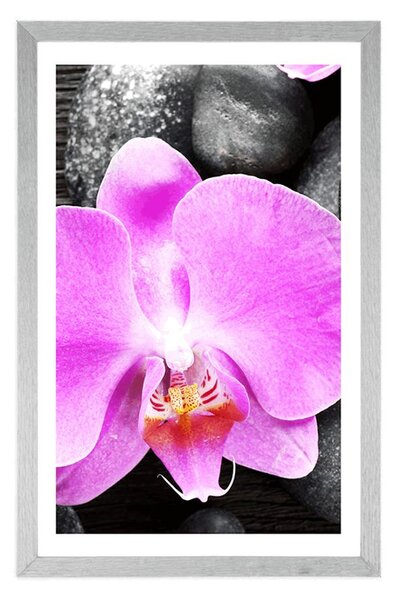 Plakát s paspartou nádherná orchidej a kameny