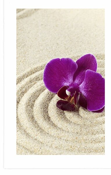 Plakát s paspartou písčitá Zen zahrada s fialovou orchidejí
