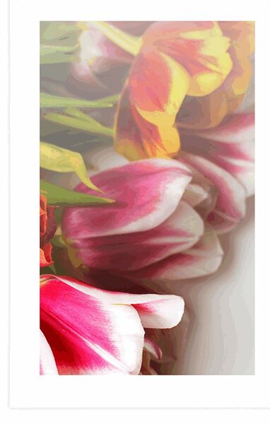 Plakát s paspartou kytice barevných tulipánů