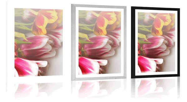 Plakát s paspartou kytice barevných tulipánů