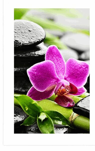 Plakát s paspartou wellness zátiší s fialovou orchidejí