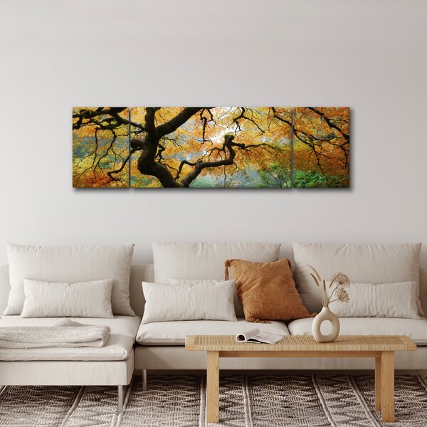 Obraz žlutého japonského javoru, Portland, Oregon (170x50 cm)