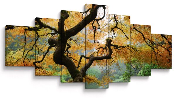 Obraz žlutého japonského javoru, Portland, Oregon (210x100 cm)