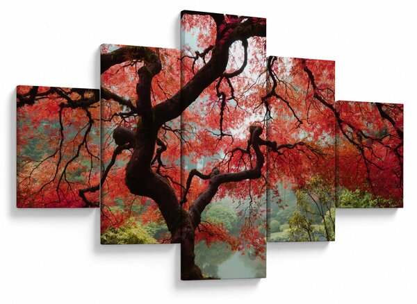 Obraz červeného japonského javoru, Portland, Oregon (125x70 cm)