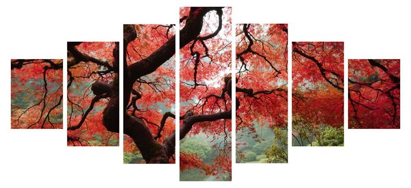 Obraz červeného japonského javoru, Portland, Oregon (210x100 cm)