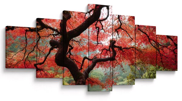Obraz červeného japonského javoru, Portland, Oregon (210x100 cm)