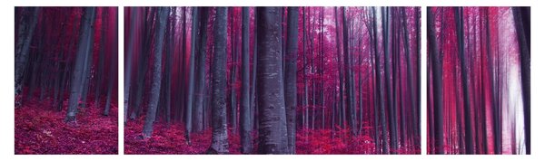 Obraz růžového lesa (170x50 cm)