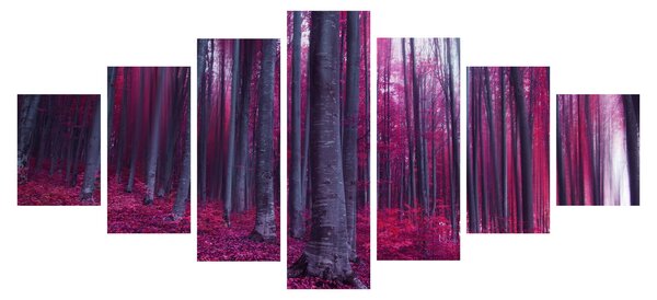 Obraz růžového lesa (210x100 cm)
