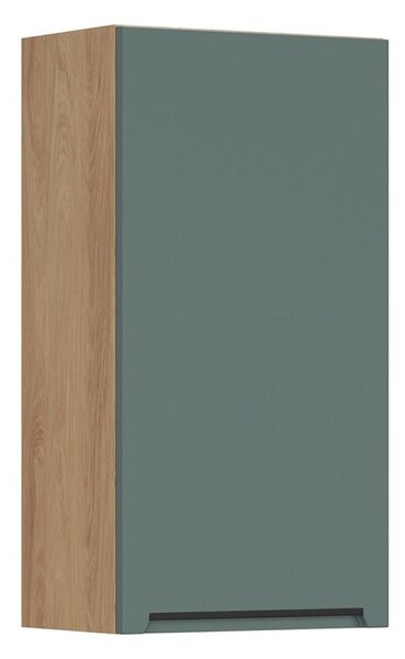 BRW Kuchyně Family Line Iris G-50/95-P, boho green matt