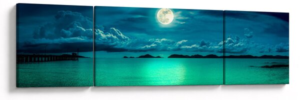 Obraz - Úplněk nad hladinou (170x50 cm)