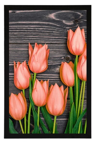 Plakát oranžové tulipány na dřevěném podkladu