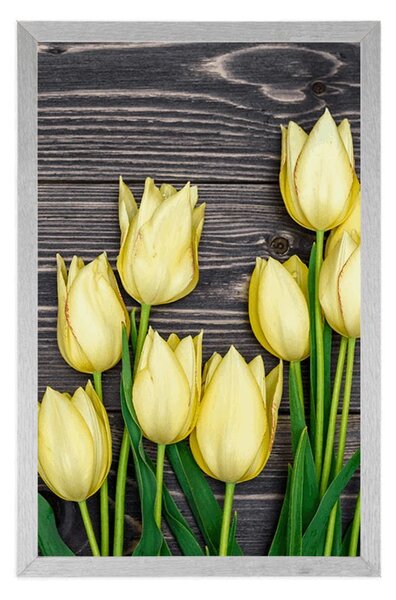 Plakát žluté tulipány na dřevěném podkladu