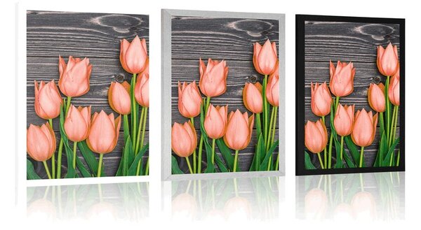Plakát oranžové tulipány na dřevěném podkladu