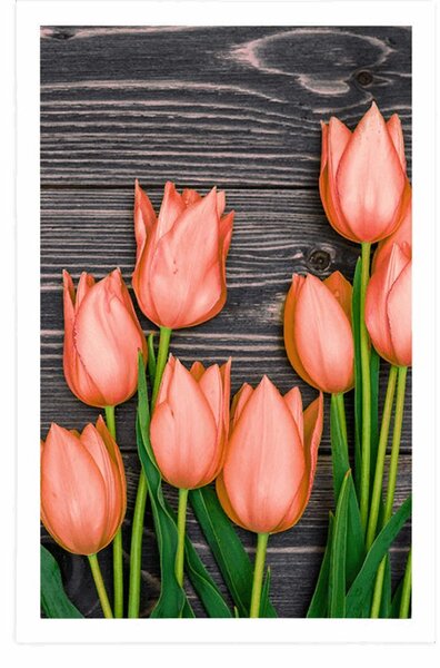 Plakát oranžové tulipány na dřevěném podkladu