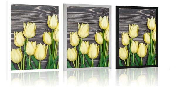 Plakát žluté tulipány na dřevěném podkladu