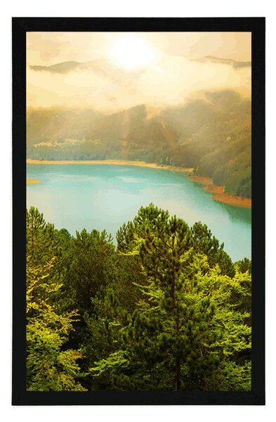 Plakát řeka uprostřed zeleného lesa