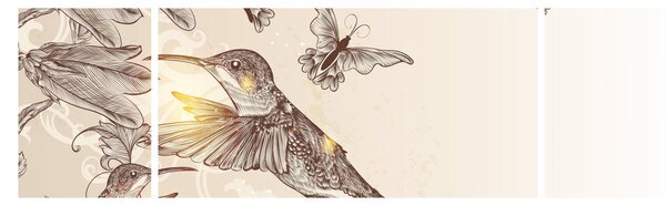 Obraz - Kolibříci (170x50 cm)
