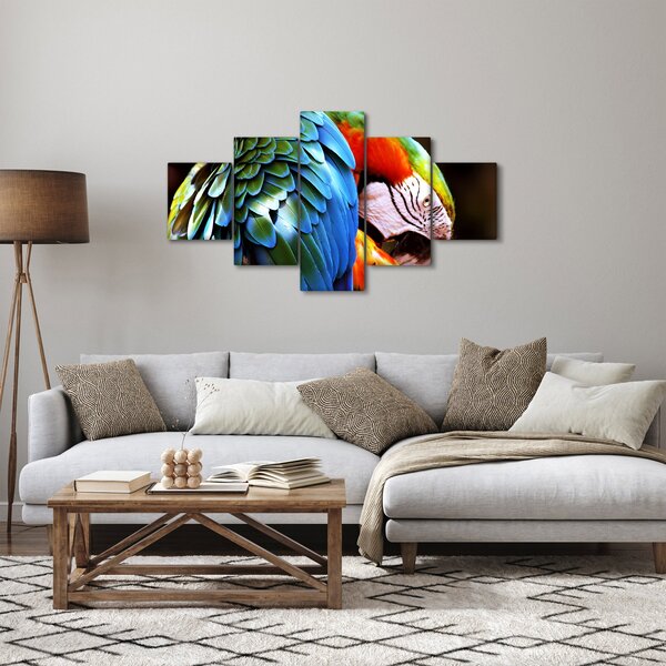 Obraz - Papoušek (125x70 cm)