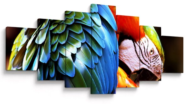 Obraz - Papoušek (210x100 cm)