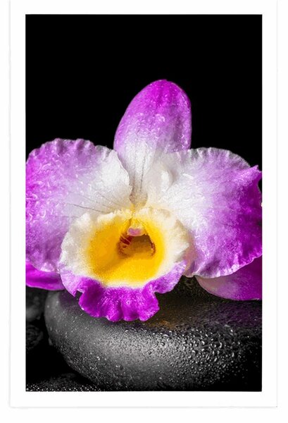 Plakát s paspartou fialová orchidej na Zen kamenech
