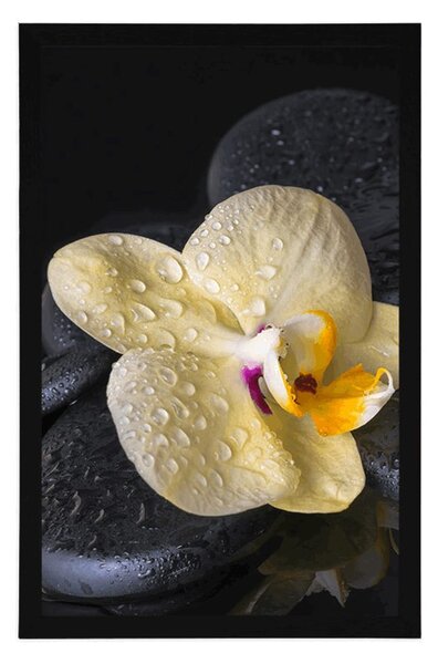 Plakát Zen kameny se žlutou orchidejí