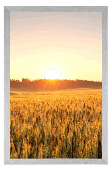 Plakát západ slunce nad polem