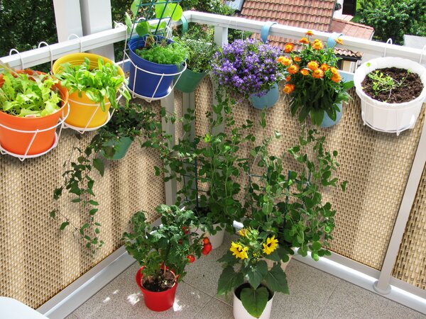 Balkonová ratanová zástěna s očky MALMO, tmavě šedá, výška 90 cm šířka různé rozměry 1300 g/m2 MyBestHome Rozměr: 90x100 cm