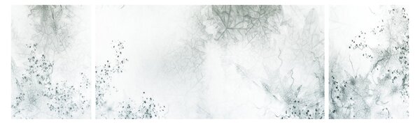 Obraz abstrakce listů (170x50 cm)