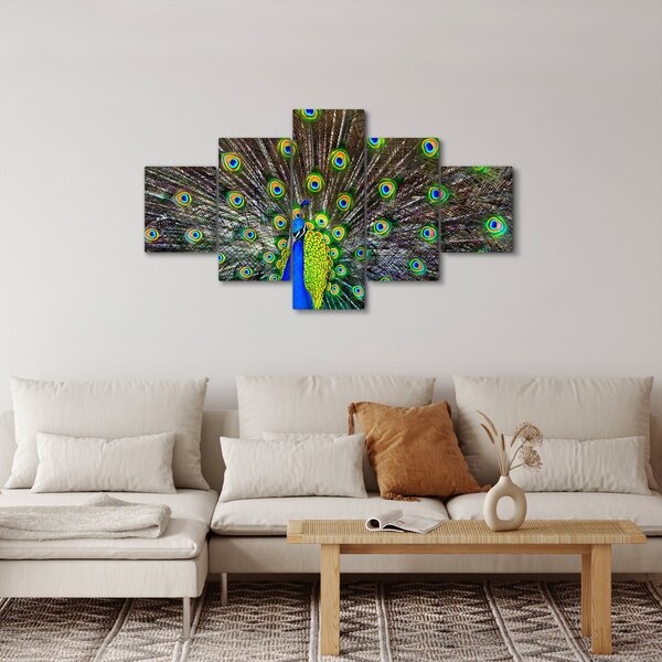Obraz - Páv (125x70 cm)